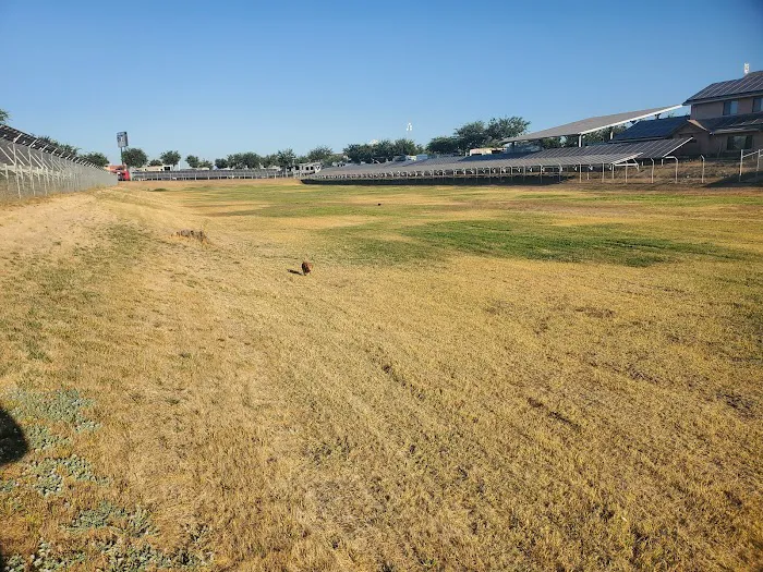 Flag City RV Resort Picture 6