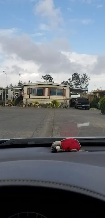 Three Palms Mobile Estates (Senior) Picture 10