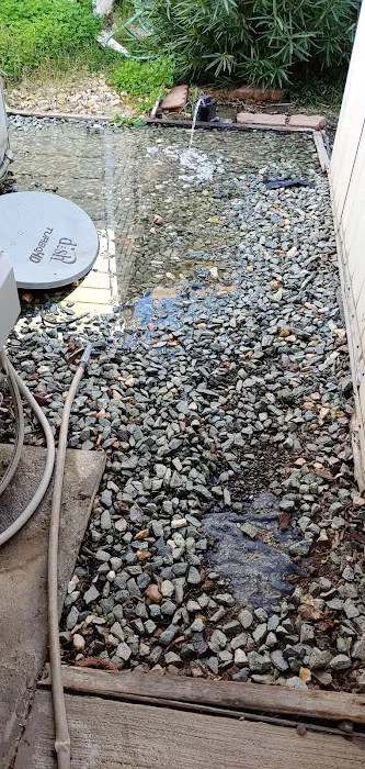 Three Palms Mobile Estates (Senior) Picture 9