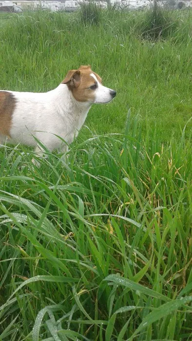 Country Villa Mobile Park Picture 3