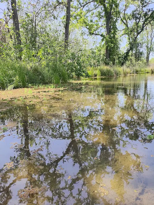Lodi Lake Picture 4