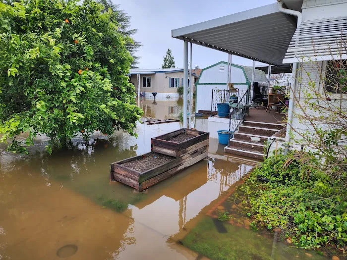 Arbor Mobile Home Park Picture 2