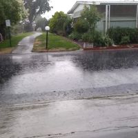 Arbor Mobile Home Park ico