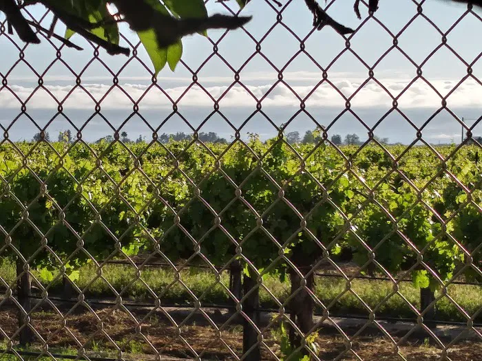 Arbor Mobile Home Park Picture 8