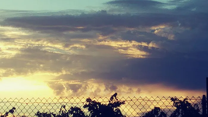 Arbor Mobile Home Park Picture 10