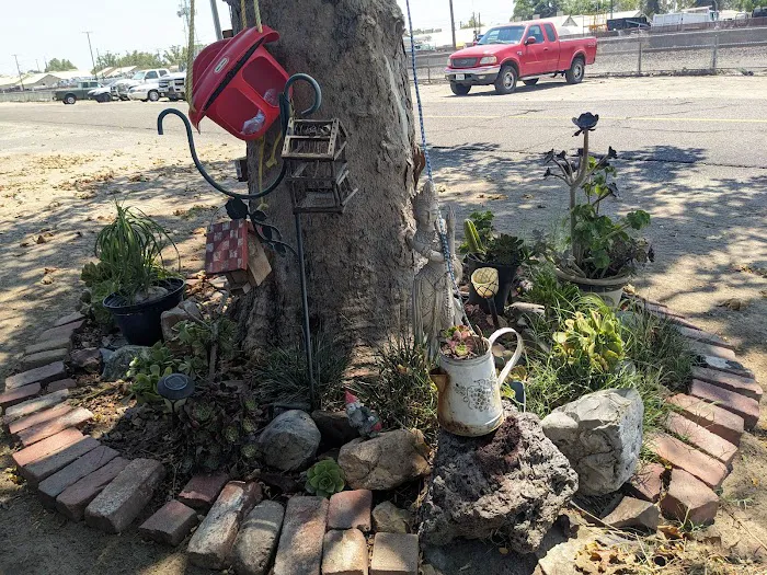 Turlock Mobile Estates Picture 3