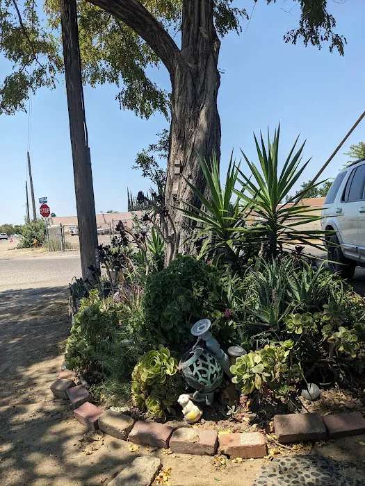 Turlock Mobile Estates Picture 5