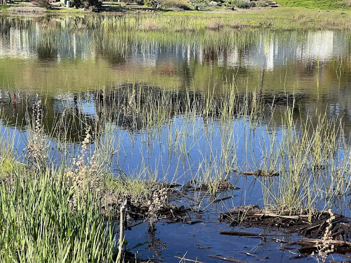 Marin Valley Mobile Country Club Picture 8
