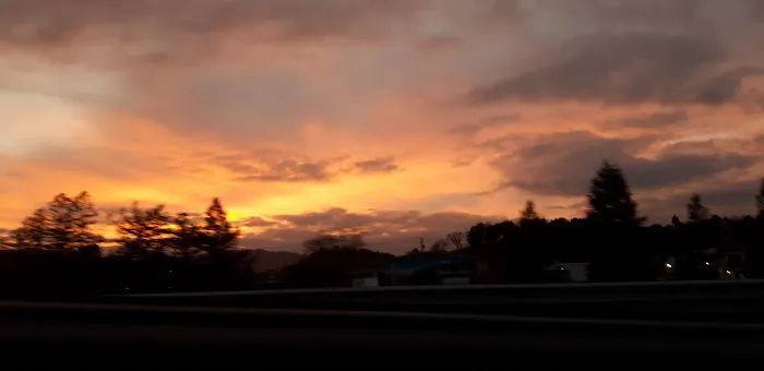 Novato RV Park Picture 4