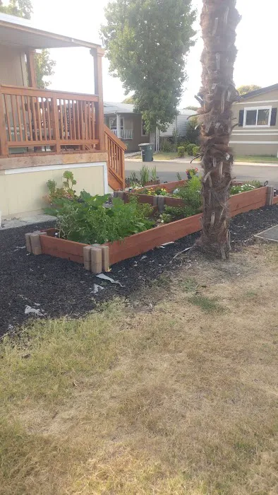 American Canyon Mobile Home Park Picture 4