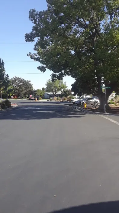 Lindale Greens Mobile Home Picture 4