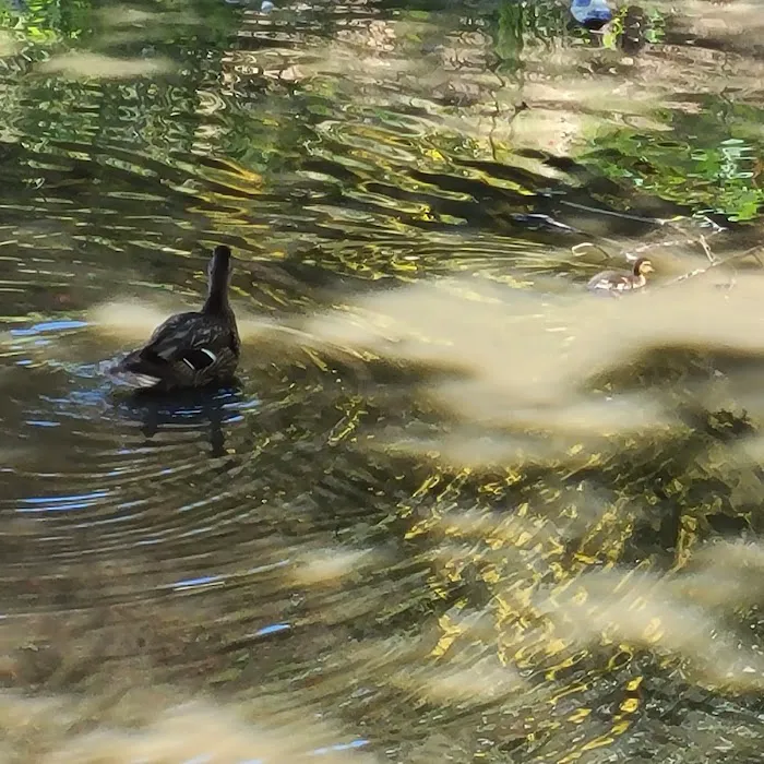 Cedarwood Mobile Home Park Picture 3