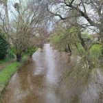 Cedarwood Mobile Home Park