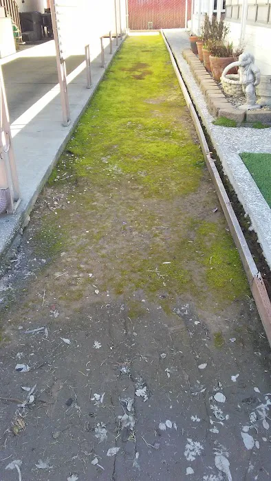 Cedarwood Mobile Home Park Picture 7