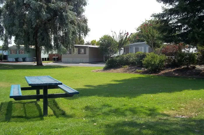 Camellia Village Mobile Home Picture 1