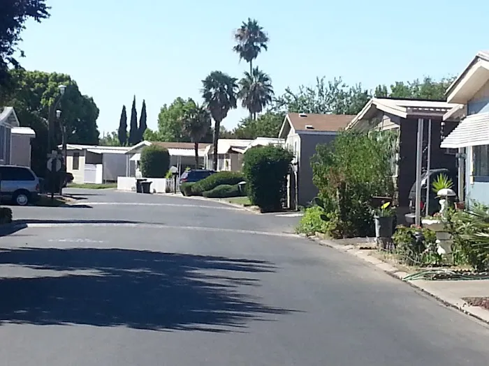 Camellia Village Mobile Home Picture 5