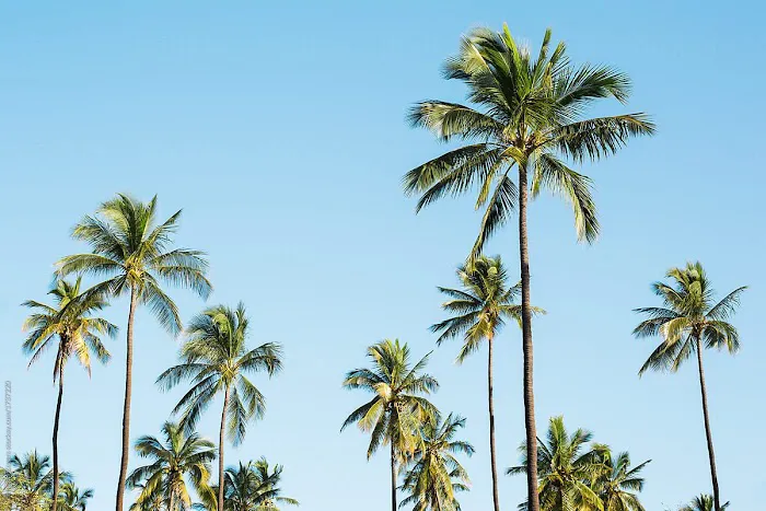 Holiday Mobile Village - 55+ Mobile Home Park Picture 1