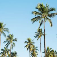 Holiday Mobile Village - 55+ Mobile Home Park ico