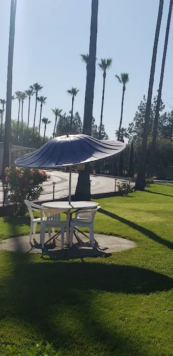 Holiday Mobile Village - 55+ Mobile Home Park Picture 9