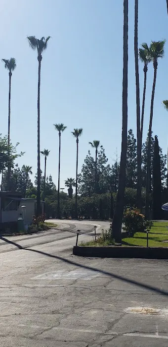 Holiday Mobile Village - 55+ Mobile Home Park Picture 8