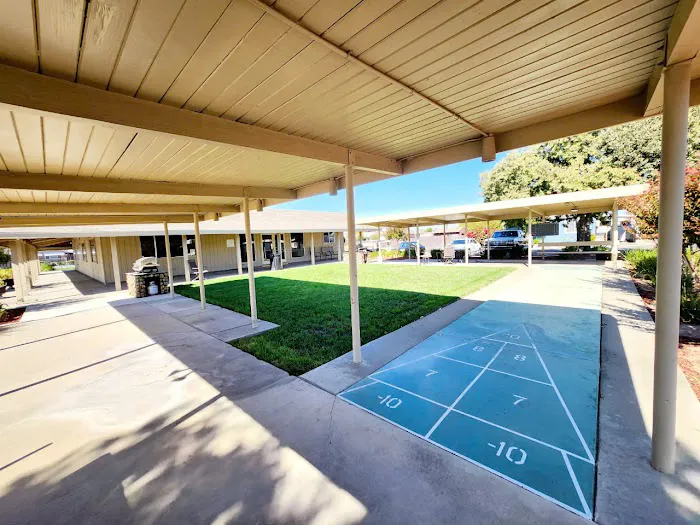 Olympia Commons Picture 2