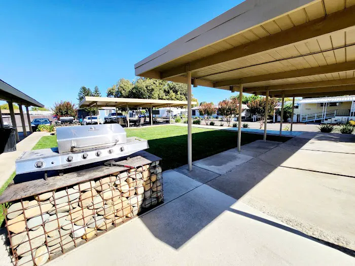 Olympia Commons Picture 1