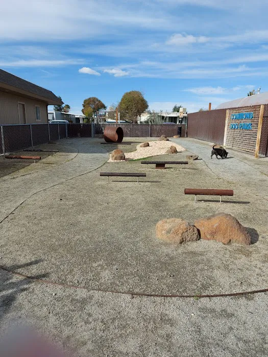 Olympia Commons Picture 5