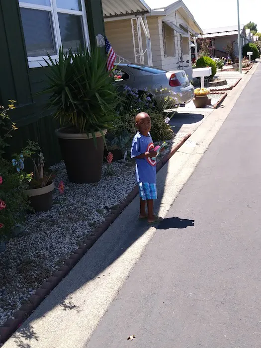 Casa De Flores Picture 7