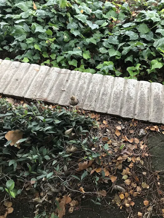 Casa De Flores Picture 6