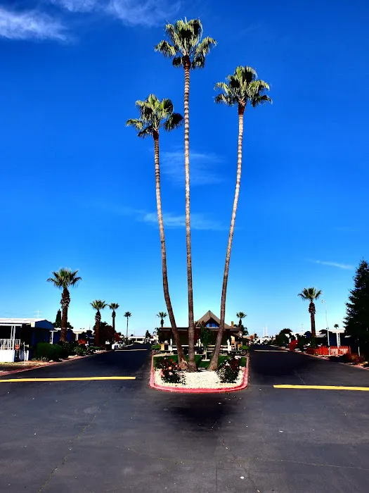South Gate Mobile Estates Picture 7