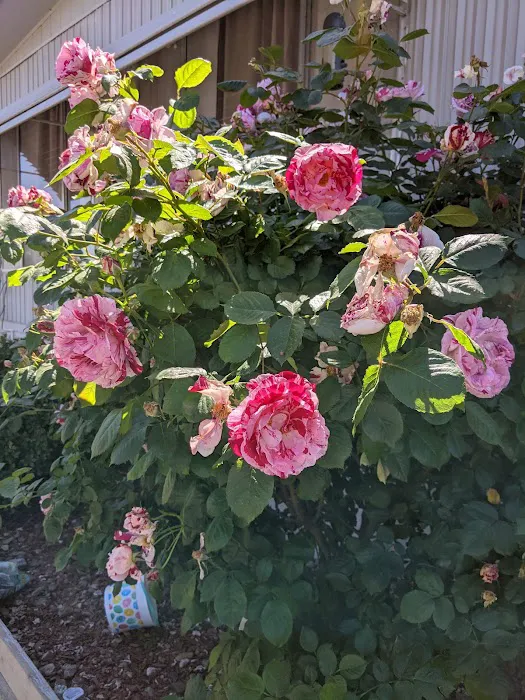 Travelodge Mobile Home Park Picture 7