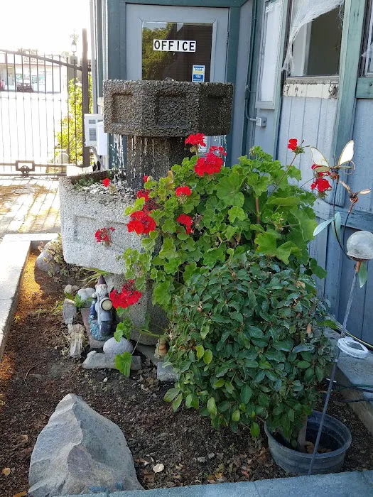 Stillman Mobile Home and RV Park Picture 3