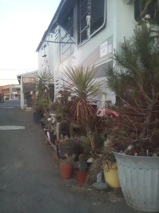 Rucker Apartments & RV Picture 5