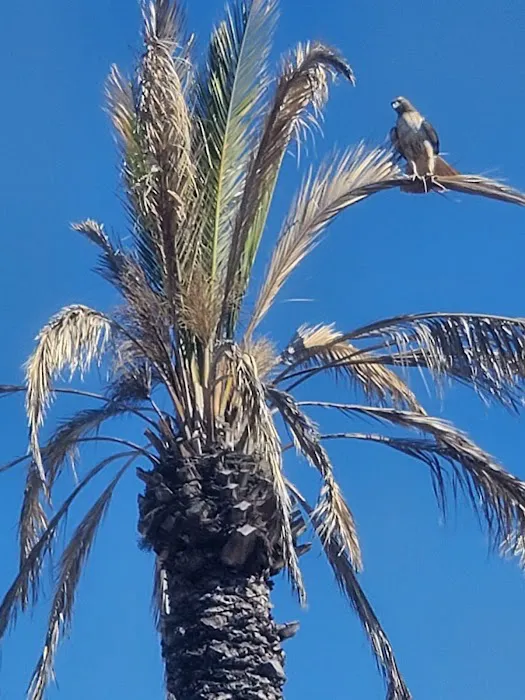 Rucker Apartments & RV Picture 2