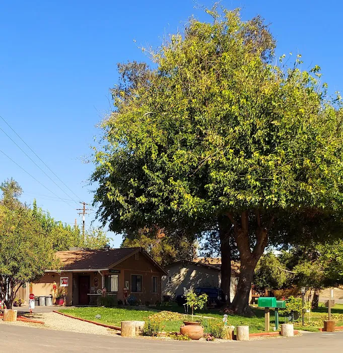 Merced River RV Resort Picture 5