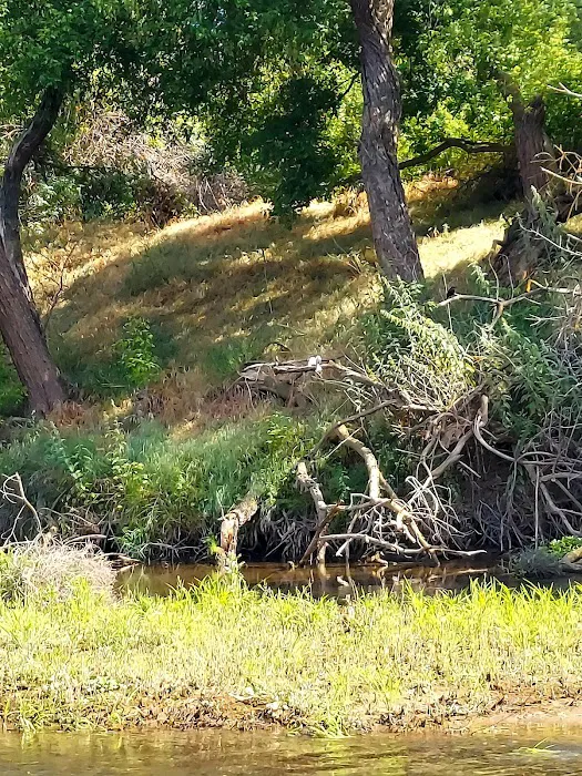 Merced River RV Resort Picture 8