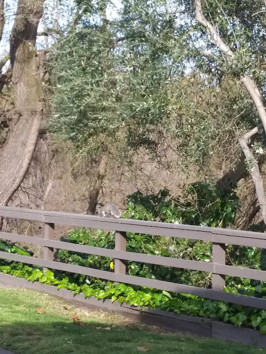 River Paradise Mobile Home Park Picture 10