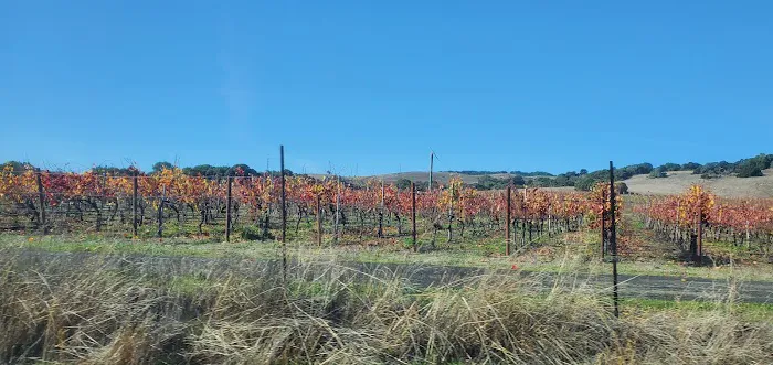Seven Flags of Sonoma Mobile Picture 1