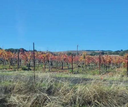 Seven Flags of Sonoma Mobile