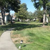 Royal Oaks ico