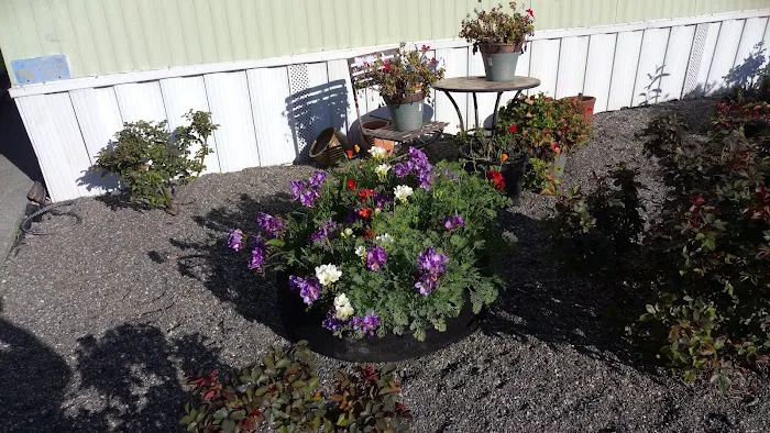 Youngstown Mobile Home Park Picture 1