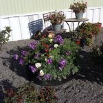 Youngstown Mobile Home Park