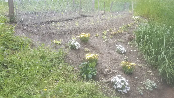 Youngstown Mobile Home Park Picture 10
