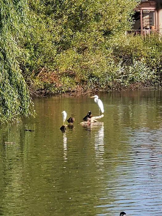 Leisure Lake Mobile Home Park Picture 5
