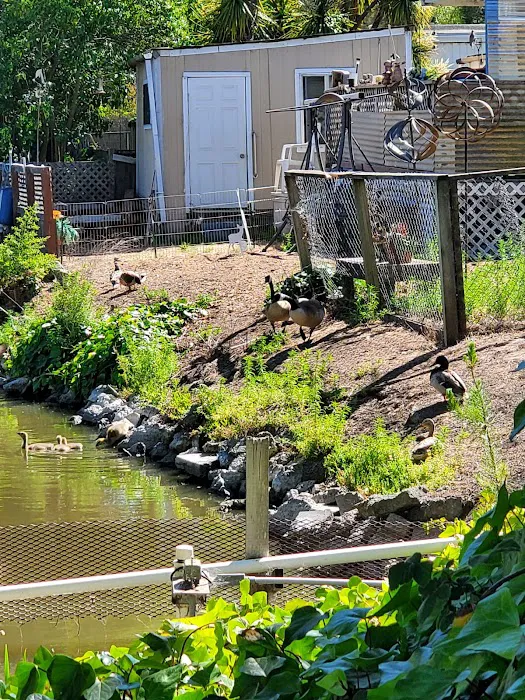 Leisure Lake Mobile Home Park Picture 9
