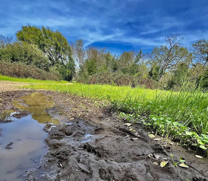 Sonoma Oaks Picture 10