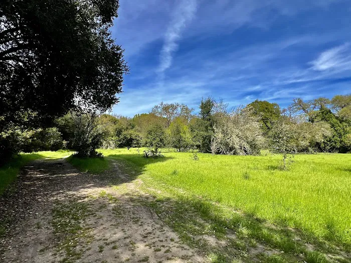 Sonoma Oaks Picture 7