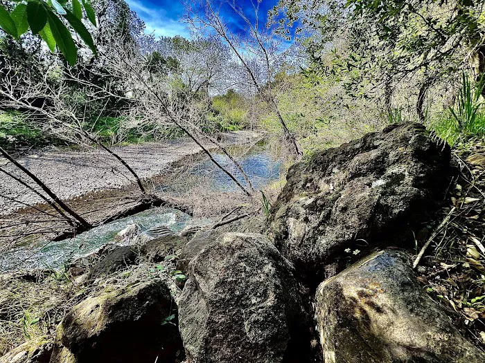 Sonoma Oaks Picture 9