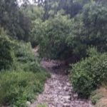 Lazzarotto Mobile Home Park