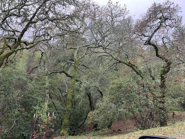Sonoma Rancho Vista Picture 6